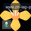 PG模拟器 logo
